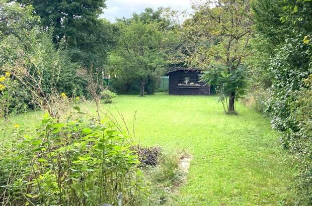 Haus mit Garten kaufen in 2500 Baden (Bild 3)