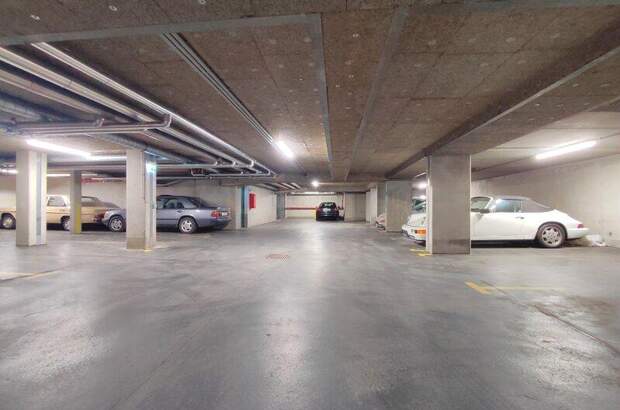 Halle / Lager / Produktion mieten in 1230 Wien (Bild 3)