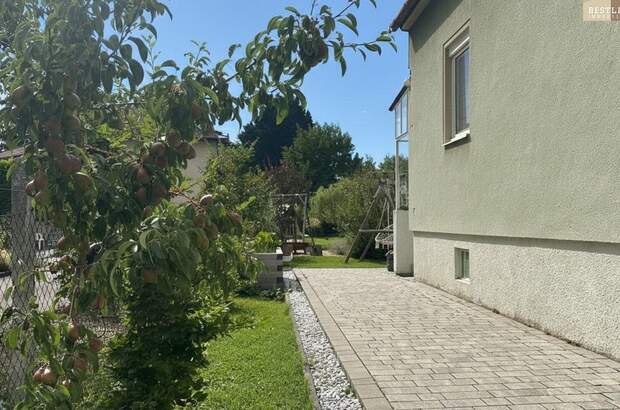 Haus kaufen in 2512 Tribuswinkel (Bild 3)