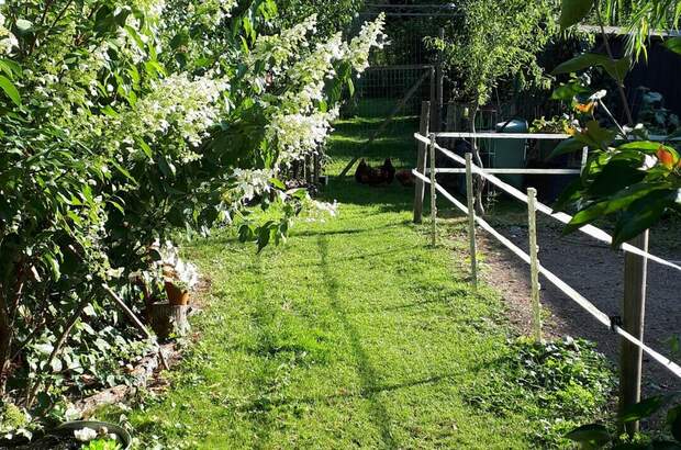 Haus kaufen in 2620 Oberdanegg (Bild 5)