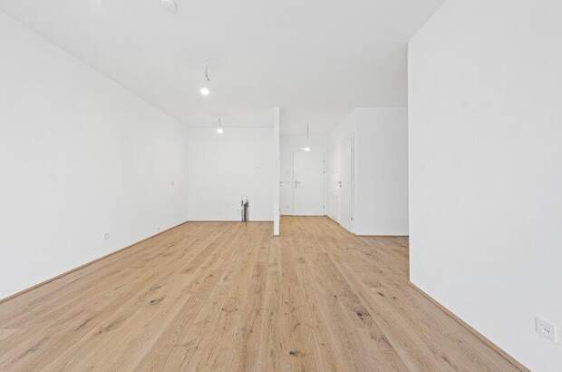 Terrassenwohnung kaufen in 2540 Bad Vöslau (Bild 4)