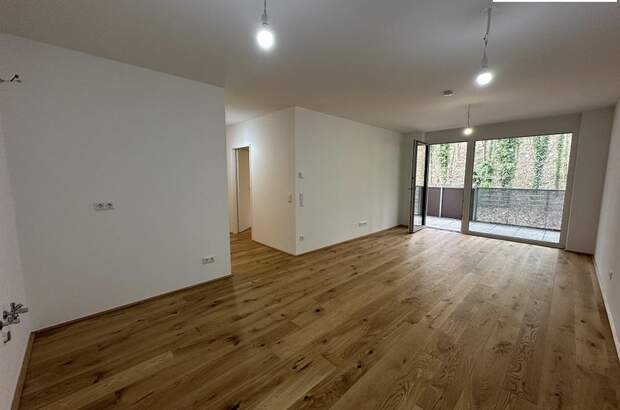 Terrassenwohnung kaufen in 3100 St. Pölten (Bild 1)