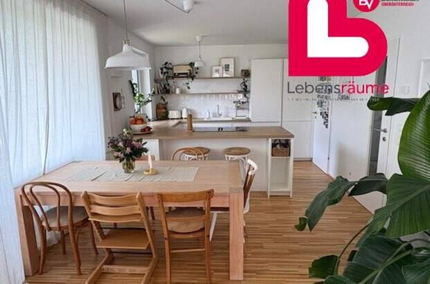Wohnung mieten in 4284 Tragwein (Bild 3)