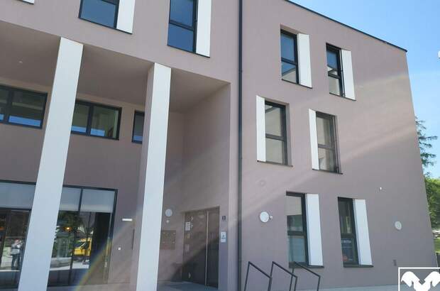 Gewerbeobjekt mieten in 4063 Hörsching (Bild 5)