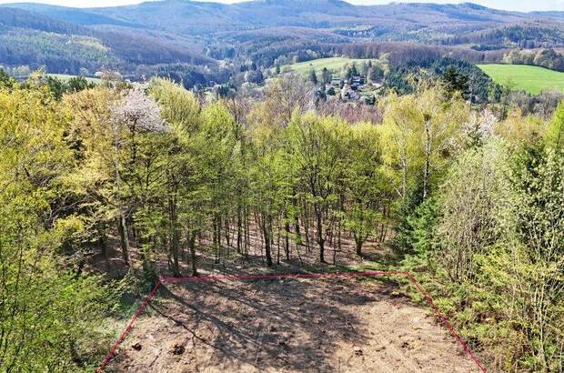 Grundstück kaufen in 3031 Rekawinkel (Bild 2)