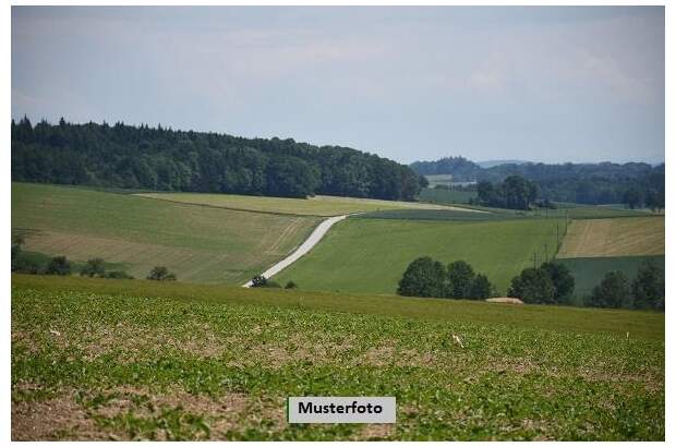 Grundstück kaufen in 3192 Hohenberg (Bild 1)