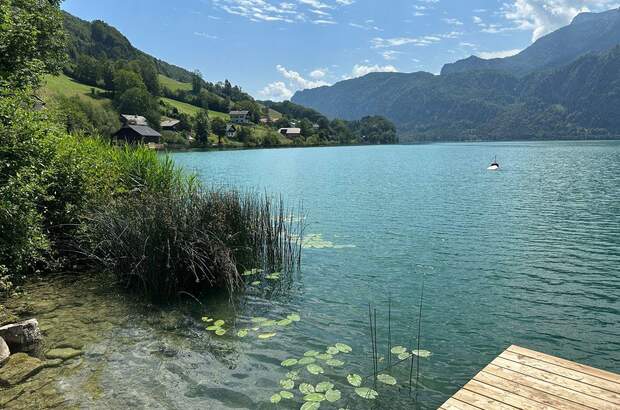 Haus mit Garten kaufen in 5311 Innerschwand (Bild 3)
