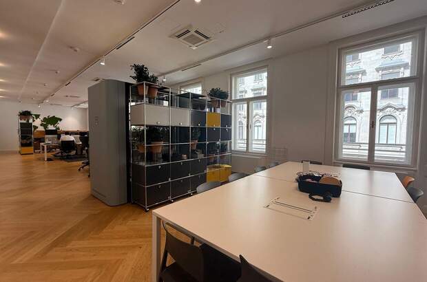 Gewerbeobjekt mieten in 1010 Wien (Bild 4)