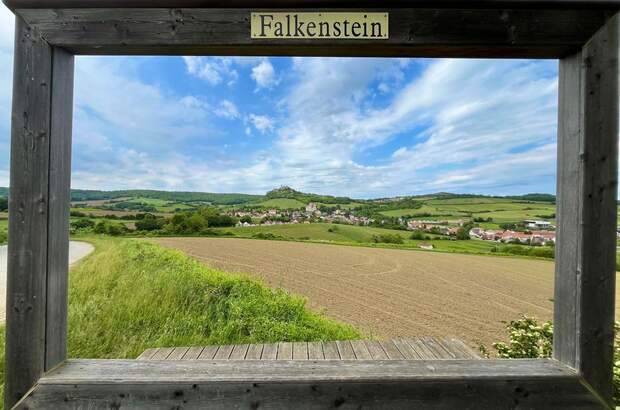 Einfamilienhaus kaufen in 2162 Falkenstein (Bild 1)