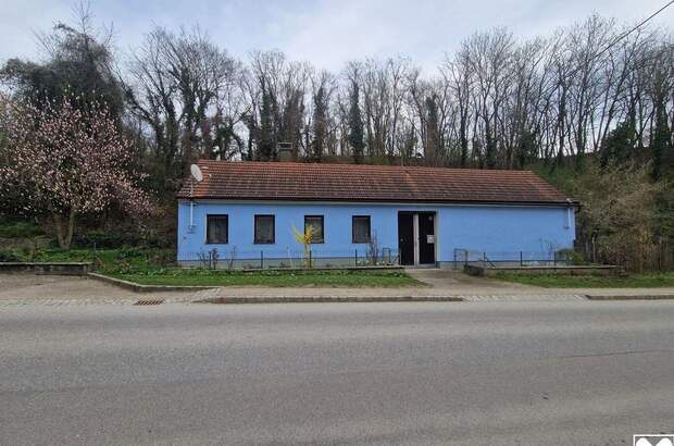 Haus kaufen in 3463 Stetteldorf (Bild 1)