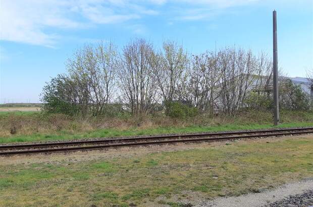 Büro / Praxis mieten in 3441 Judenau (Bild 4)