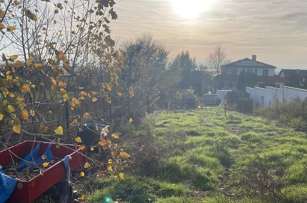 Grundstück kaufen in 7100 Neusiedl (Bild 2)