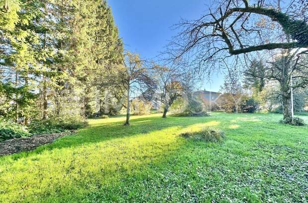 Grundstück kaufen in 6972 Fußach (Bild 3)