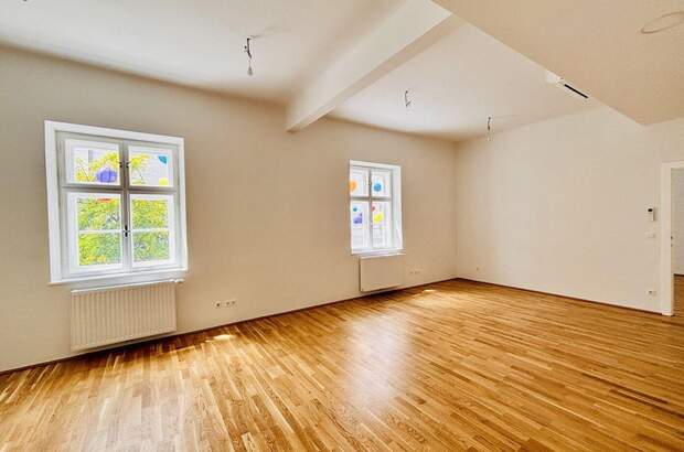 Gewerbeobjekt mieten in 2700 Wiener Neustadt (Bild 5)