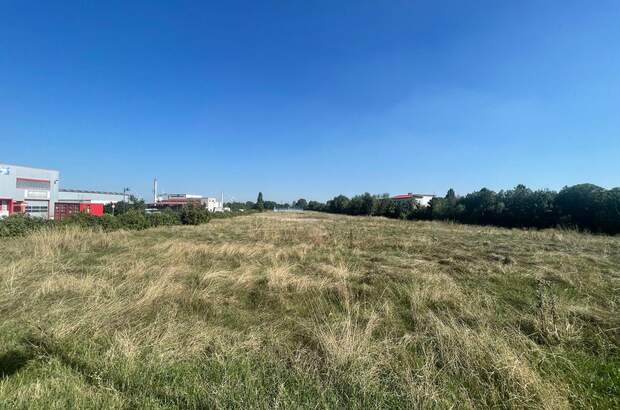 Gewerbeobjekt kaufen in 2521 Trumau (Bild 1)