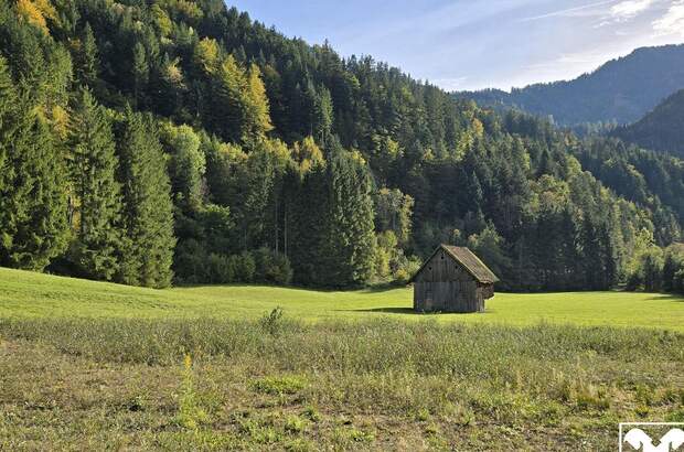 Grundstück kaufen in 9135 Ebriach (Bild 2)