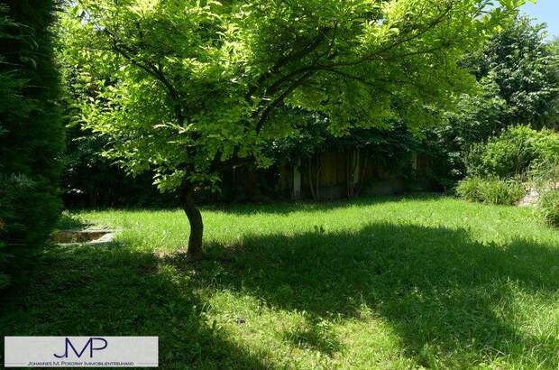 Chalet kaufen in 3400 Klosterneuburg (Bild 4)