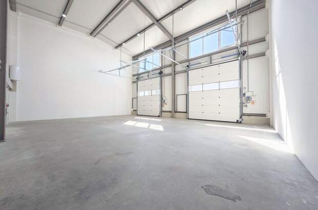 Gewerbeobjekt mieten in 3425 Langenlebarn (Bild 2)