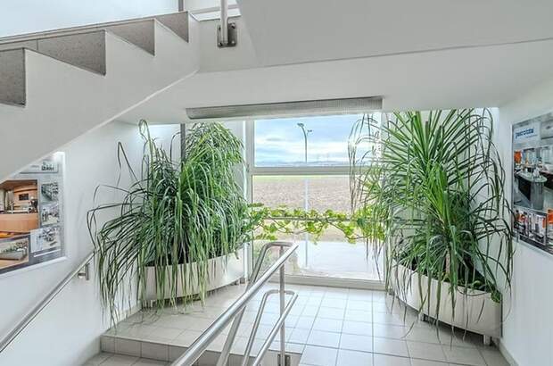 Gewerbeobjekt mieten in 3382 Loosdorf (Bild 2)
