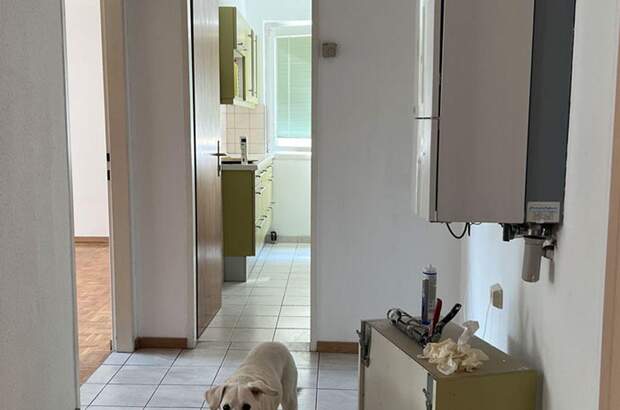 Mietwohnung in 1060 Wien (Bild 2)