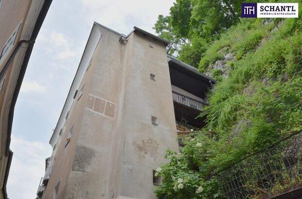 Terrassenwohnung kaufen in 5020 Salzburg (Bild 2)