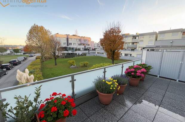 Wohnung kaufen in 4614 Marchtrenk (Bild 1)