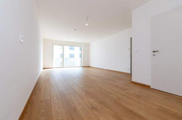 Terrassenwohnung mieten in 3250 Wieselburg (Bild 1)