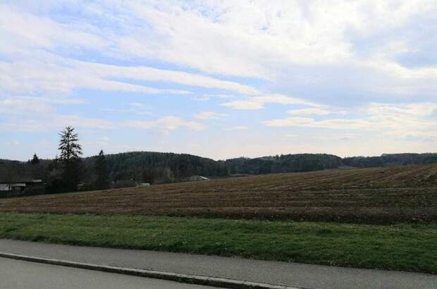 Grundstück kaufen in 8261 Sinabelkirchen (Bild 2)