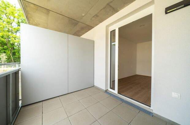 Terrassenwohnung mieten in 2104 Spillern (Bild 4)