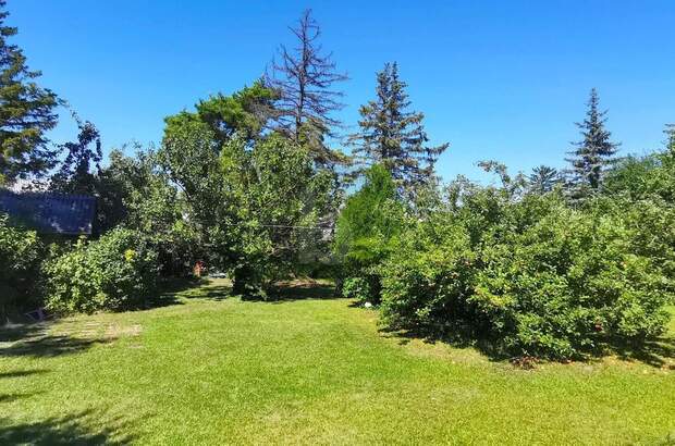 Grundstück kaufen in 2460 Bruck an der Leitha (Bild 2)