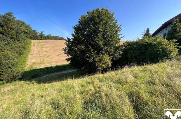 Grundstück kaufen in 4441 Behamberg (Bild 1)