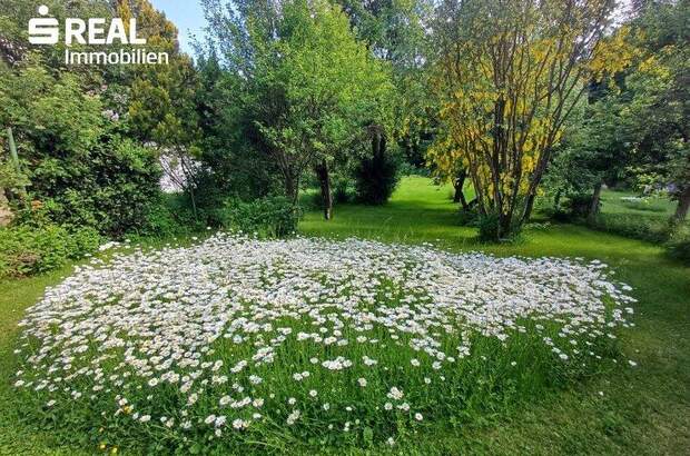 Haus kaufen in 3843 Dobersberg (Bild 3)