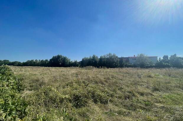 Gewerbeobjekt kaufen in 2521 Trumau (Bild 2)