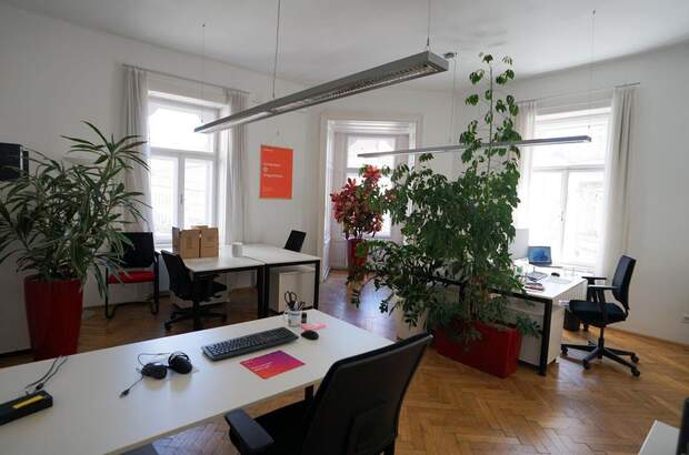 Gewerbeobjekt mieten in 1070 Wien (Bild 3)