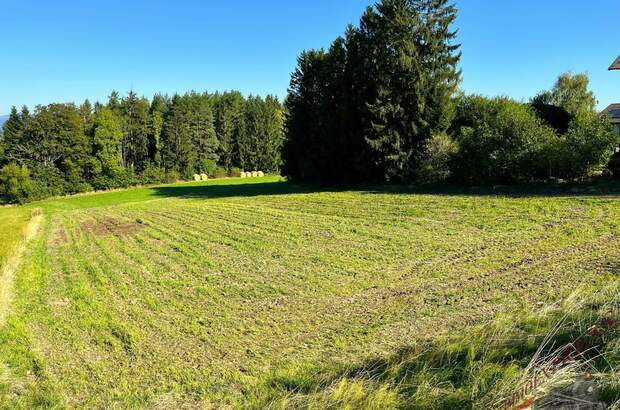 Grundstück kaufen in 2632 Penk (Bild 2)