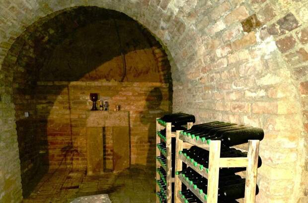 Gewerbeobjekt kaufen in 1210 Wien (Bild 4)