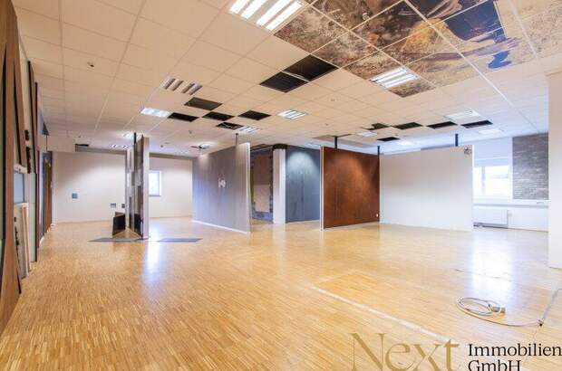 Büro / Praxis mieten in 4052 Ansfelden (Bild 3)