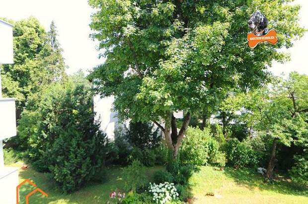 Altbauwohnung kaufen in 1180 Wien 18. (Bild 1)