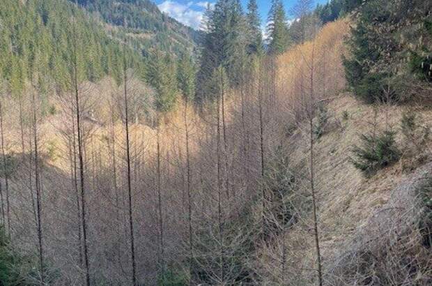 Gewerbeobjekt kaufen in 8850 Murau (Bild 4)