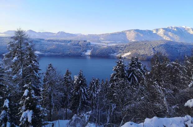 Terrassenwohnung kaufen in 9872 Millstatt (Bild 2)