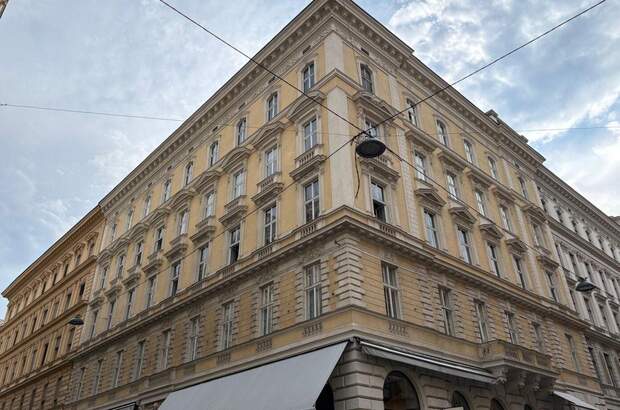 Altbauwohnung mieten in 1010 Wien (Bild 1)