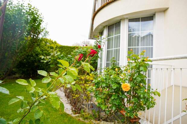 Einfamilienhaus kaufen in 8045 Graz (Bild 3)