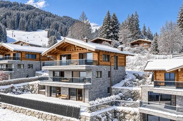 Chalet kaufen in 5731 Hollersbach (Bild 1)