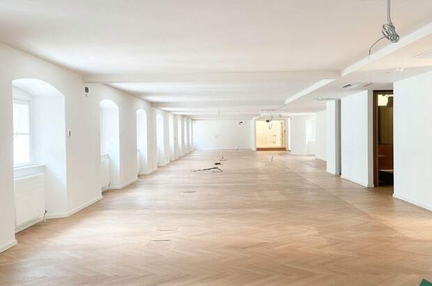 Gewerbeobjekt mieten in 1010 Wien (Bild 2)