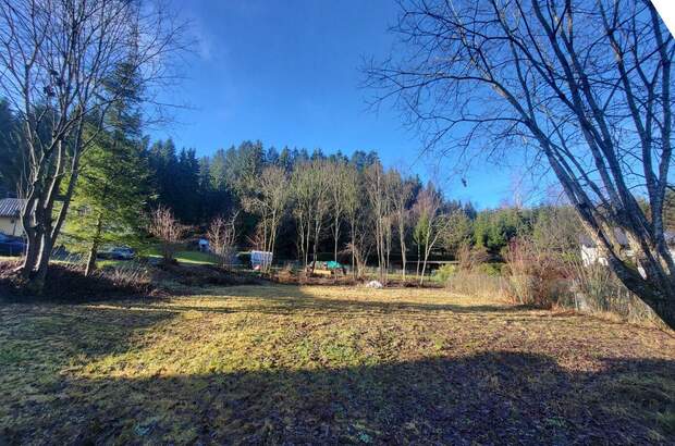 Grundstück kaufen in 4180 Saumstraß (Bild 1)