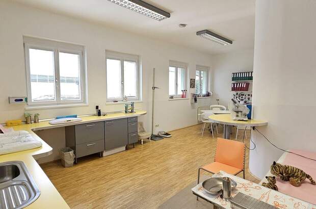 Gewerbeobjekt kaufen in 9800 Spittal (Bild 4)