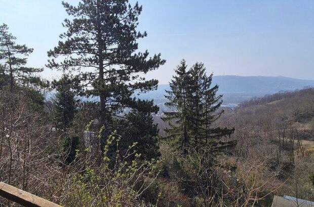 Grundstück kaufen in 2103 Langenzersdorf (Bild 3)