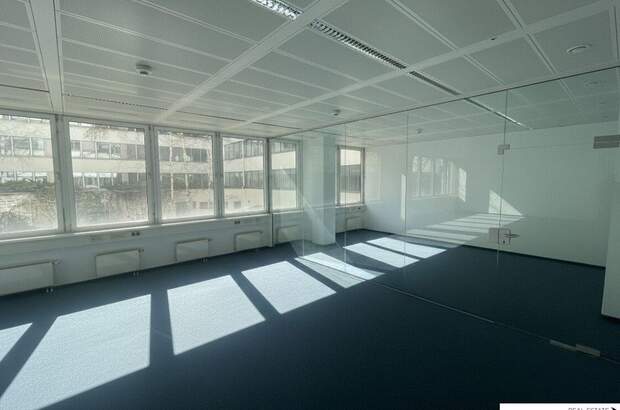 Gewerbeobjekt mieten in 1020 Wien (Bild 5)