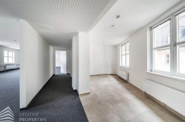 Gewerbeobjekt mieten in 1010 Wien (Bild 3)
