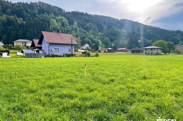 Grundstück kaufen in 9701 Rothenthurn (Bild 3)